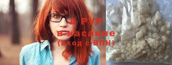 сатива Костерёво