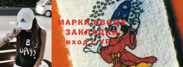 прущие грибы Коряжма