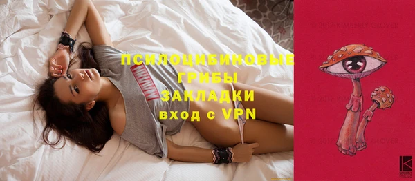 mdpv Корсаков