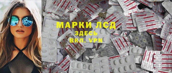 сатива Костерёво