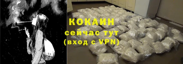 сатива Костерёво