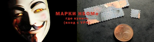 прущие грибы Коряжма