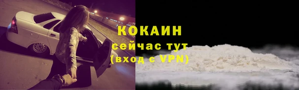 прущие грибы Коряжма