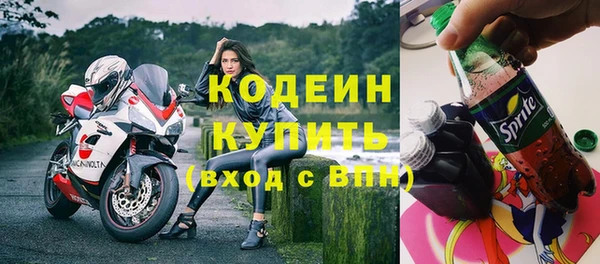 прущие грибы Коряжма