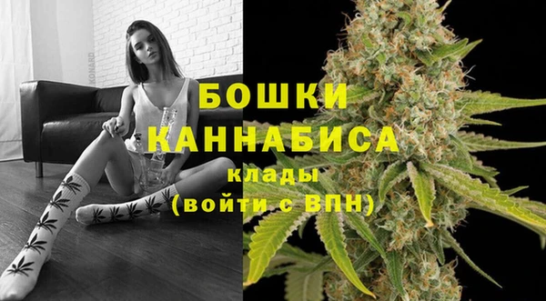 прущие грибы Коряжма