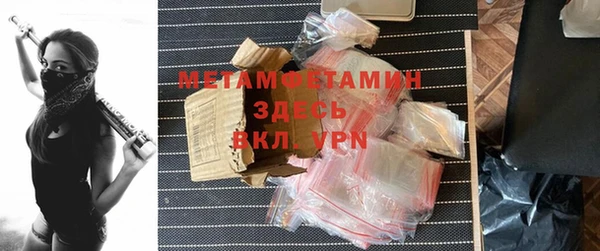 прущие грибы Коряжма