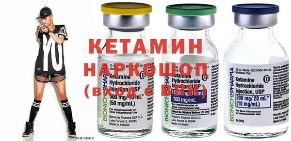 прущие грибы Коряжма