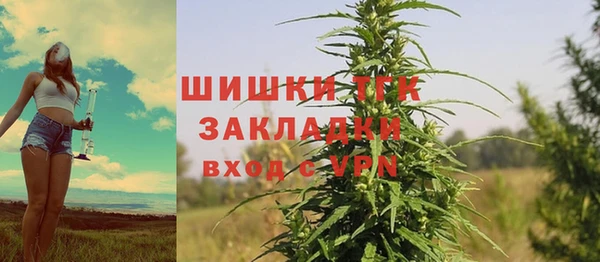 прущие грибы Коряжма